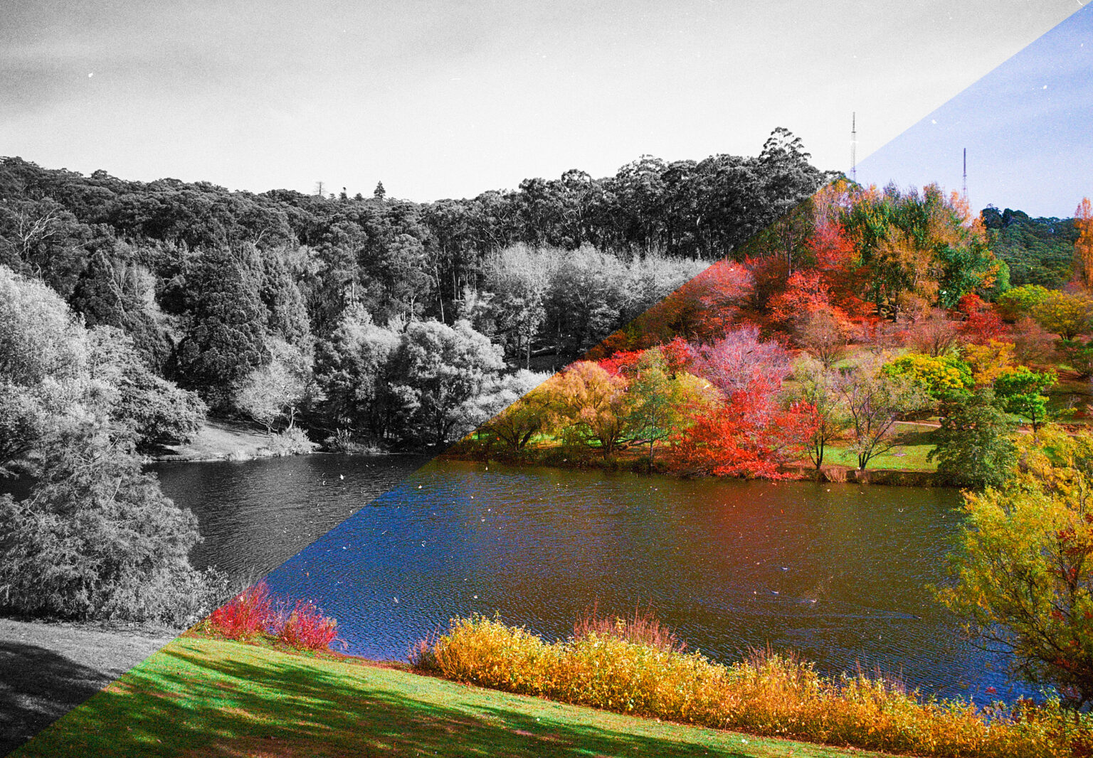 آموزش تبدیل فایل PDF رنگی به سیاه و سفید