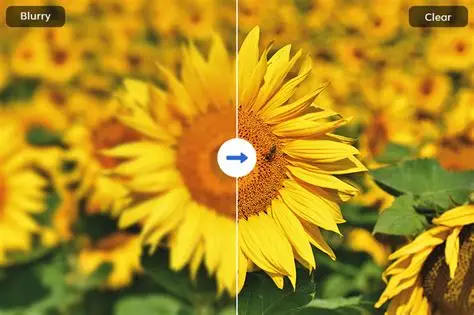 تاری چاپ پرینتر: علل، راهکارها و بهبود کیفیت